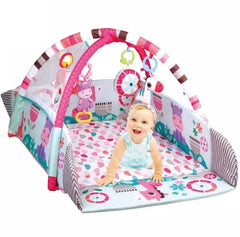 https://www.jucarii-magice.ro/collections/jucarii-bebelusi/products/covor-bebe-5-in-1-668-35-varsta-1-3-ani?_pos=1&_sid=45a22c046&_ss=r